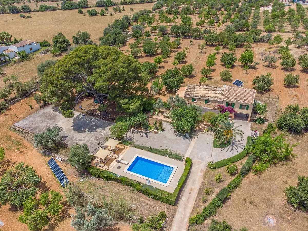 Binissalem - 35239 Mallorca ספרד