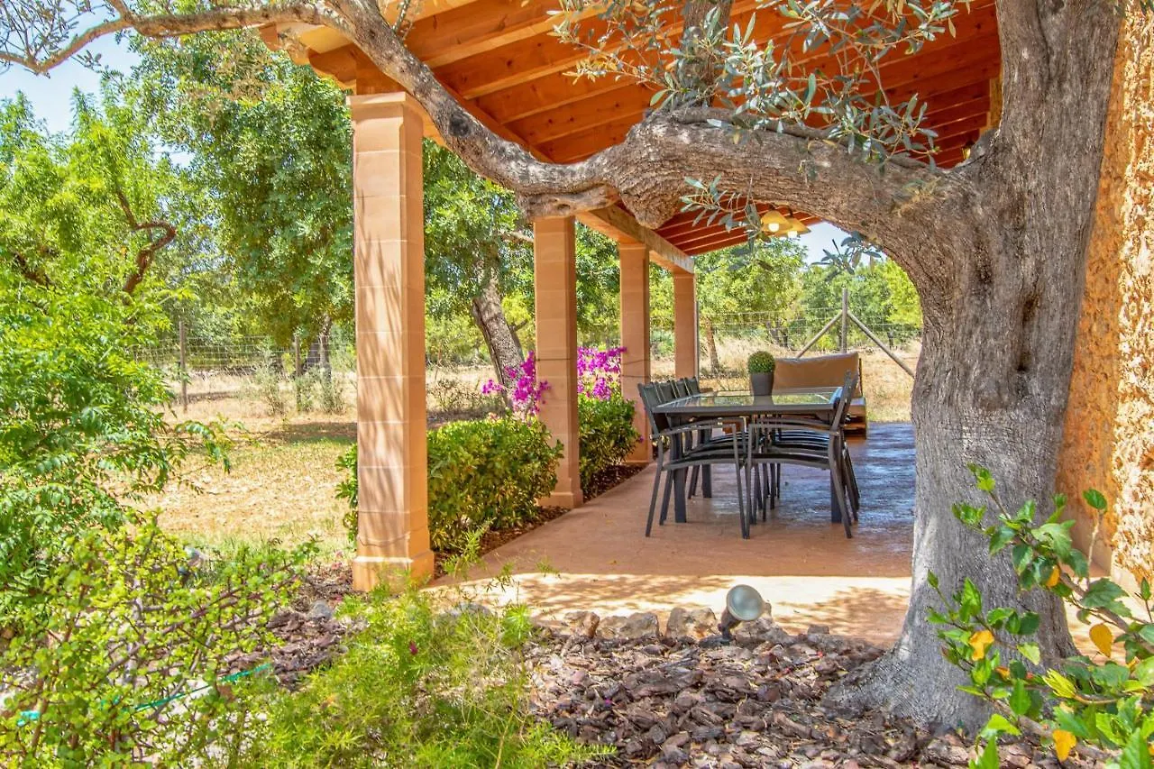 בית נופש Binissalem - 35239 Mallorca ספרד