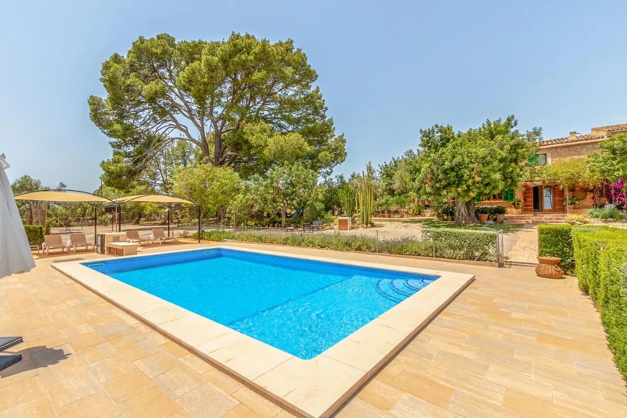 בית נופש Binissalem - 35239 Mallorca